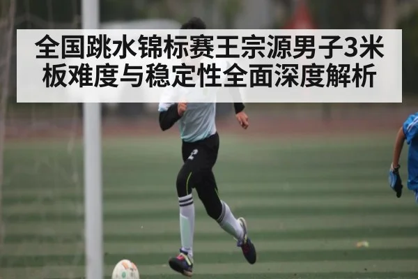 全国跳水锦标赛王宗源男子3米板难度与稳定性全面深度解析